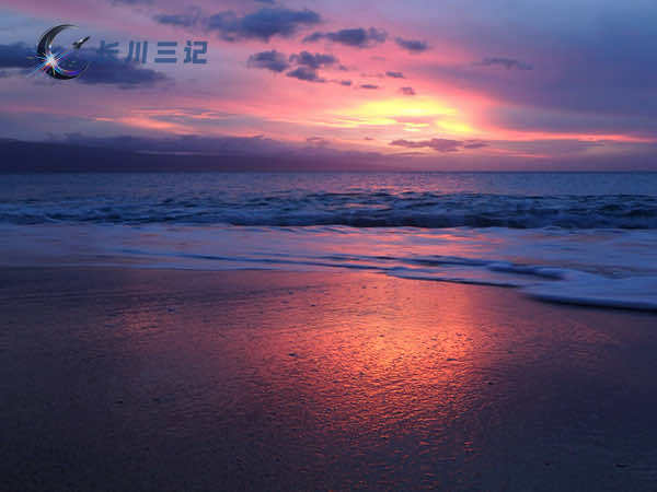 拍摄海滩日