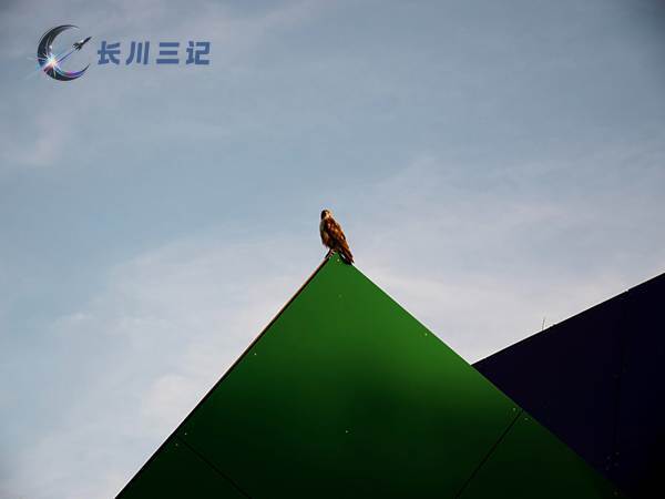 三角构图