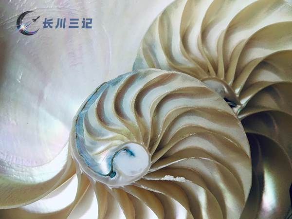 摄影中的黄金比例