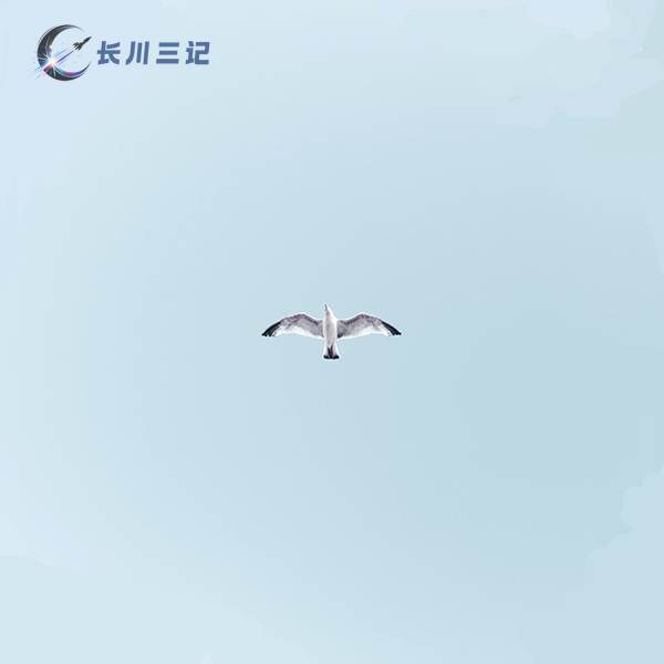 摄影负空间构图法则